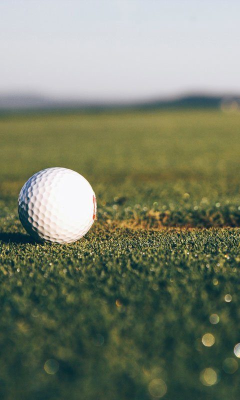 404-golfboll